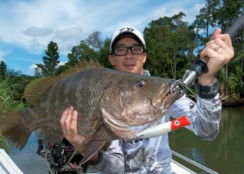 Pic: Mick Fletoridis